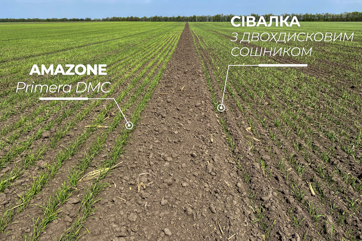 Стан посівів після DMC Primera та звичайної сівалки з дводисковим сошником